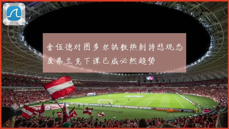 舍伍德对图多尔执教热刺持悲观态度弗兰克下课已成必然趋势